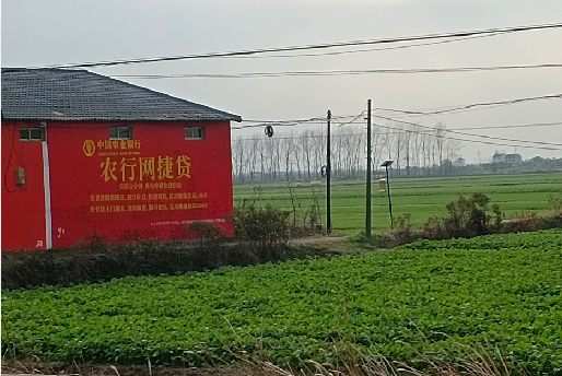 泰顺如何防止墙体广告褪色呢？