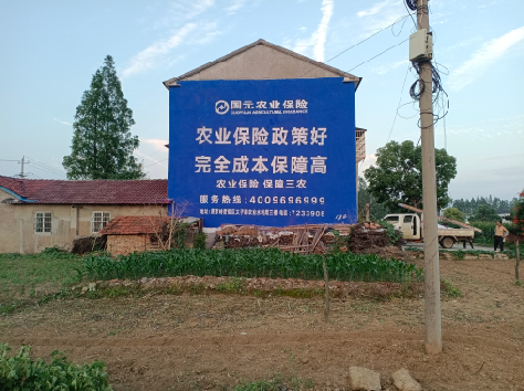 泰顺墙体广告为何受追捧？